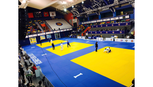 Tatami-Reisstroh für die Judo-Meisterschaft Russlands in Kemerowo, Russland von SPARTA