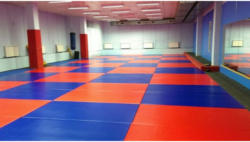 Tatami AKA (Sportmatten) für die SibNefteGeofiziki Halle
