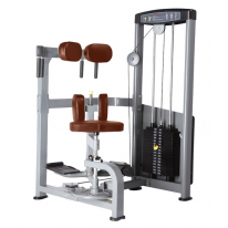 BRONZE GYM D-011 Торс-машина