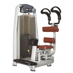 BRONZE GYM A9-011 Торс-машина