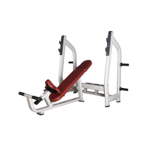 BRONZE GYM H-025 Скамья для жима с положительным наклоном