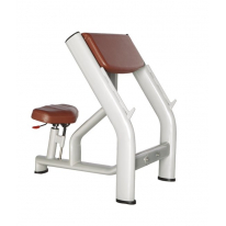 BRONZE GYM H-040A Скамья Скотта