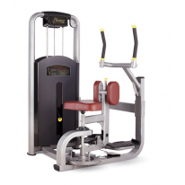 BRONZE GYM MV-011 Торс-машина