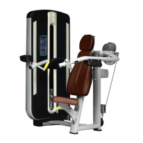 BRONZE GYM MNM-003A Дельта-машина
